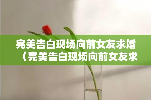 完美告白现场向前女友求婚（完美告白现场向前女友求婚是哪一集）