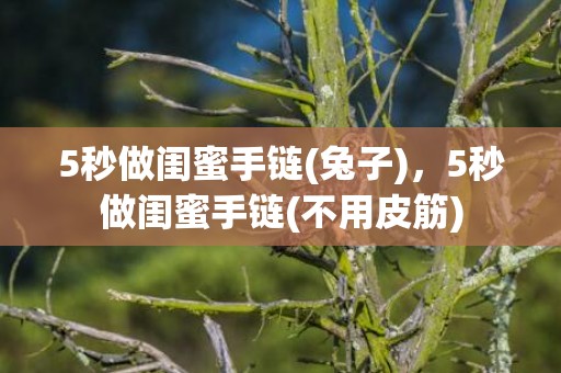 5秒做闺蜜手链(兔子)，5秒做闺蜜手链(不用皮筋)