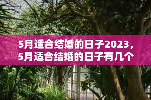5月适合结婚的日子2023，5月适合结婚的日子有几个
