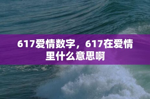 617爱情数字，617在爱情里什么意思啊