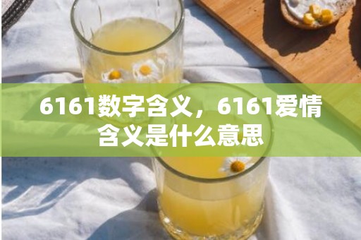 6161数字含义，6161爱情含义是什么意思