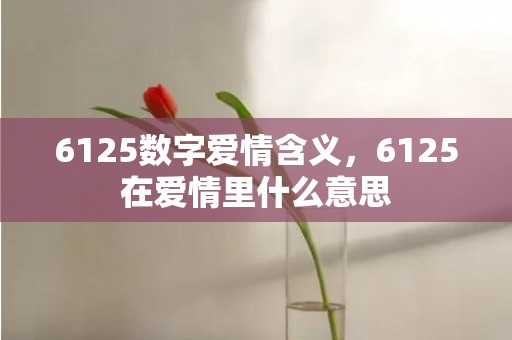 6125数字爱情含义，6125在爱情里什么意思