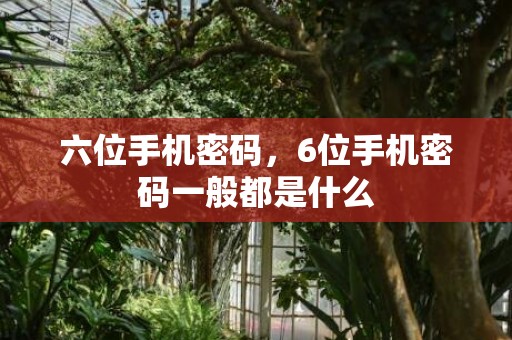 六位手机密码，6位手机密码一般都是什么