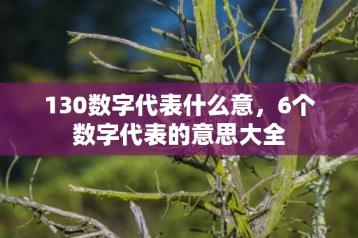 130数字代表什么意，6个数字代表的意思大全