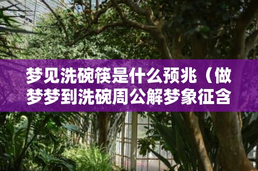 梦见洗碗筷是什么预兆（做梦梦到洗碗周公解梦象征含义梦见洗碗是什么预兆周公解...）