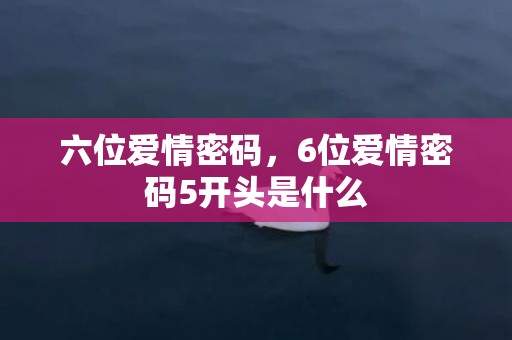 六位爱情密码，6位爱情密码5开头是什么