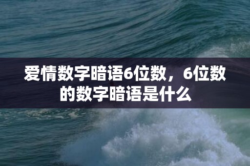 爱情数字暗语6位数，6位数的数字暗语是什么