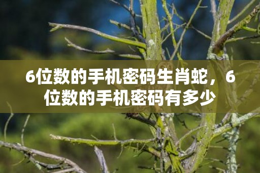 6位数的手机密码生肖蛇，6位数的手机密码有多少