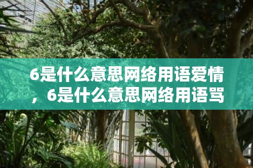 6是什么意思网络用语爱情，6是什么意思网络用语骂人