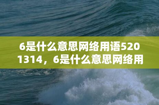 6是什么意思网络用语5201314，6是什么意思网络用语表白