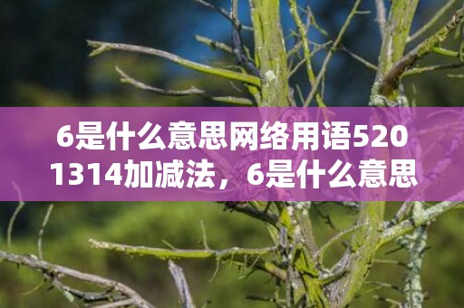 6是什么意思网络用语5201314加减法，6是什么意思网络用语喜欢