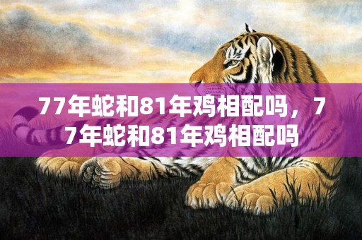 77年蛇和81年鸡相配吗，77年蛇和81年鸡相配吗