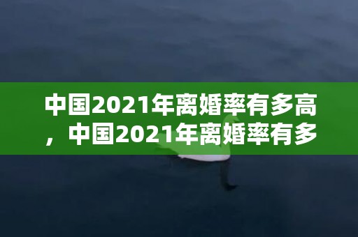 中国2021年离婚率有多高，中国2021年离婚率有多高