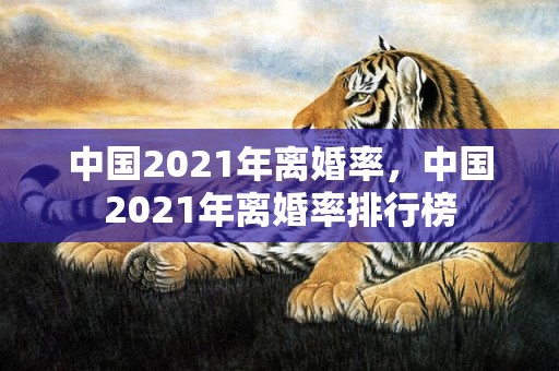 中国2021年离婚率，中国2021年离婚率排行榜