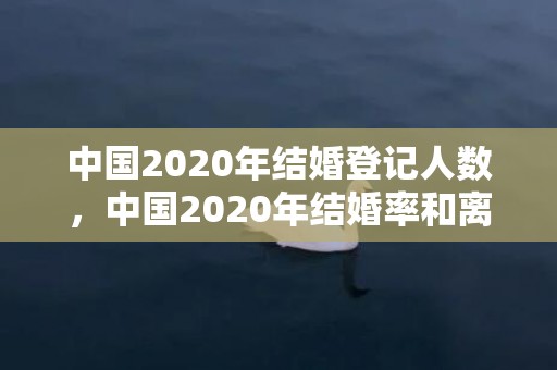 中国2020年结婚登记人数，中国2020年结婚率和离婚率