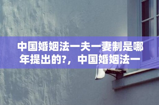 中国婚姻法一夫一妻制是哪年提出的?，中国婚姻法一夫一妻制