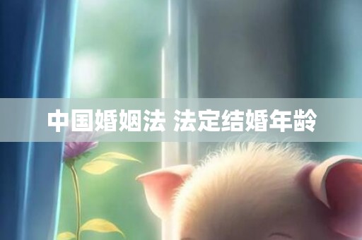 中国婚姻法 法定结婚年龄