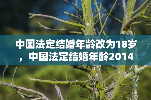 中国法定结婚年龄改为18岁，中国法定结婚年龄2014