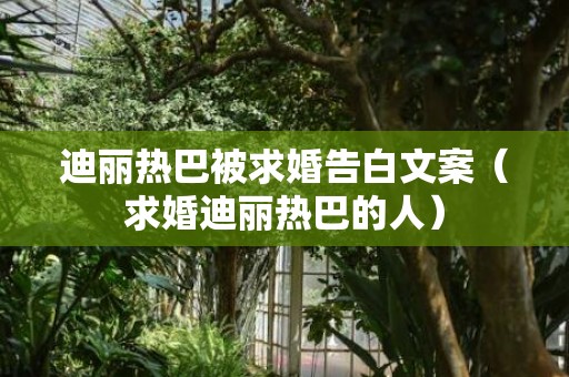 迪丽热巴被求婚告白文案（求婚迪丽热巴的人）