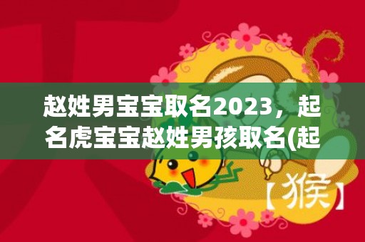 赵姓男宝宝取名2023，起名虎宝宝赵姓男孩取名(起名虎宝宝赵姓男孩取名-独具匠心的专业起名服务)