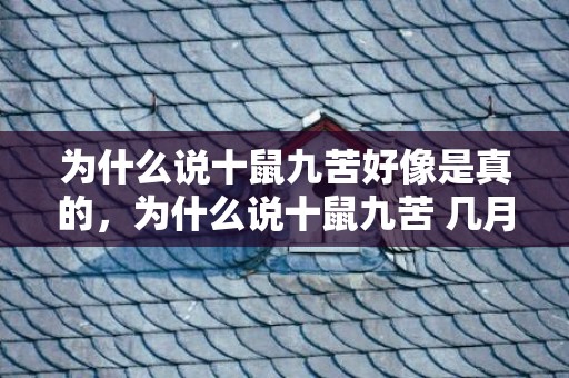为什么说十鼠九苦好像是真的，为什么说十鼠九苦 几月出生好