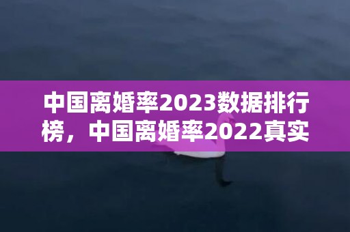 中国离婚率2023数据排行榜，中国离婚率2022真实数据