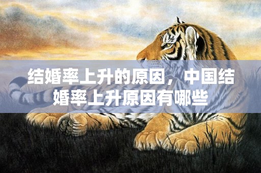 结婚率上升的原因，中国结婚率上升原因有哪些