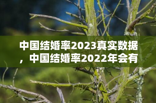 中国结婚率2023真实数据，中国结婚率2022年会有多低
