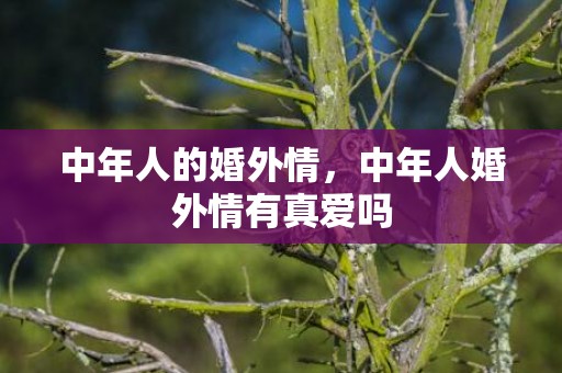 中年人的婚外情，中年人婚外情有真爱吗