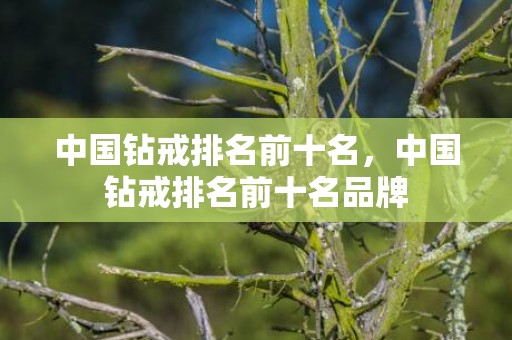 中国钻戒排名前十名，中国钻戒排名前十名品牌