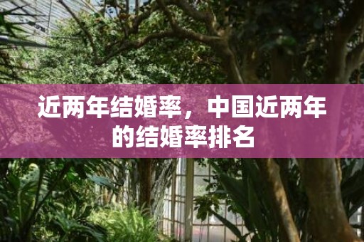 近两年结婚率，中国近两年的结婚率排名