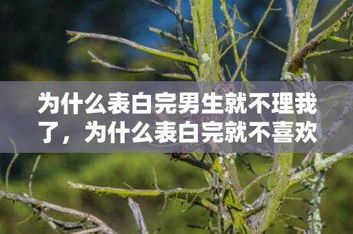 为什么表白完男生就不理我了，为什么表白完就不喜欢了