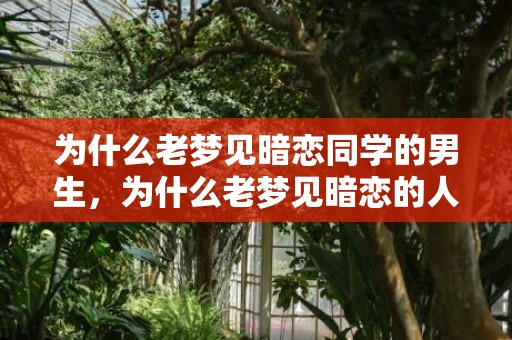 为什么老梦见暗恋同学的男生，为什么老梦见暗恋的人