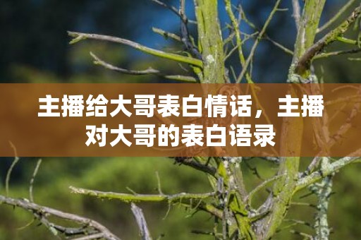 主播给大哥表白情话，主播对大哥的表白语录