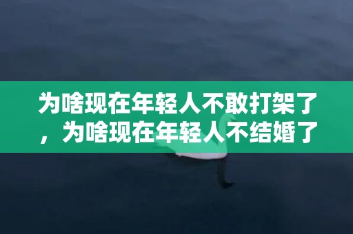 为啥现在年轻人不敢打架了，为啥现在年轻人不结婚了