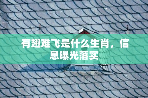  有翅难飞是什么生肖，信息曝光落实
