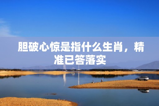  胆破心惊是指什么生肖，精准已答落实