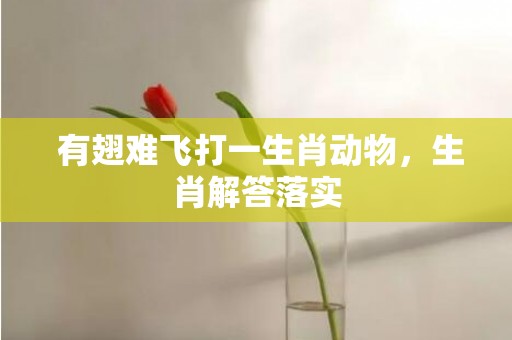  有翅难飞打一生肖动物，生肖解答落实