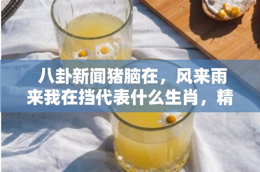  八卦新闻猪脑在，风来雨来我在挡代表什么生肖，精准已答落实