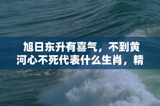  旭日东升有喜气，不到黄河心不死代表什么生肖，精准已答落实