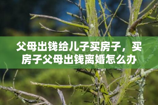 父母出钱给儿子买房子，买房子父母出钱离婚怎么办