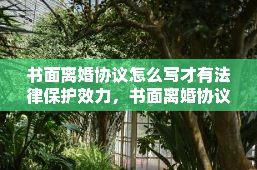 书面离婚协议怎么写才有法律保护效力，书面离婚协议怎么签订