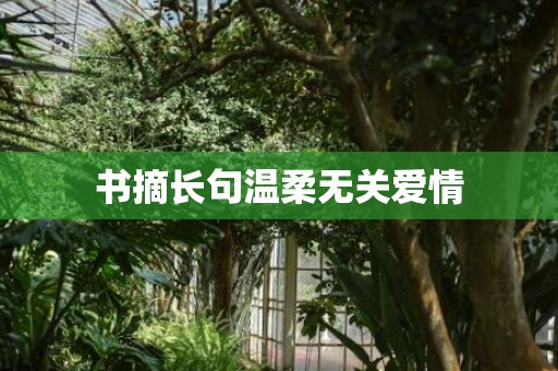 书摘长句温柔无关爱情