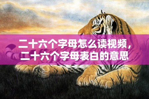 二十六个字母怎么读视频，二十六个字母表白的意思