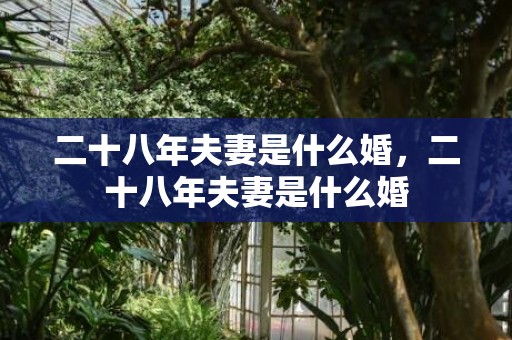 二十八年夫妻是什么婚，二十八年夫妻是什么婚