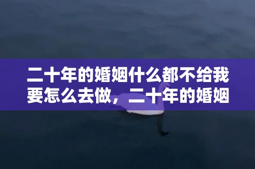 二十年的婚姻什么都不给我要怎么去做，二十年的婚姻是什么婚