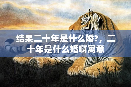 结果二十年是什么婚?，二十年是什么婚啊寓意