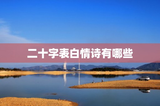二十字表白情诗有哪些