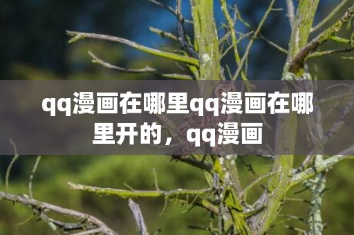 qq漫画在哪里qq漫画在哪里开的，qq漫画