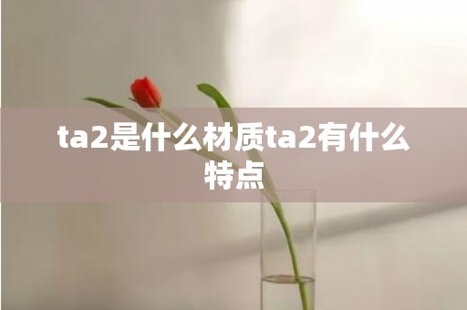 ta2是什么材质ta2有什么特点